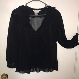 Max Studio Specialty Products sz m